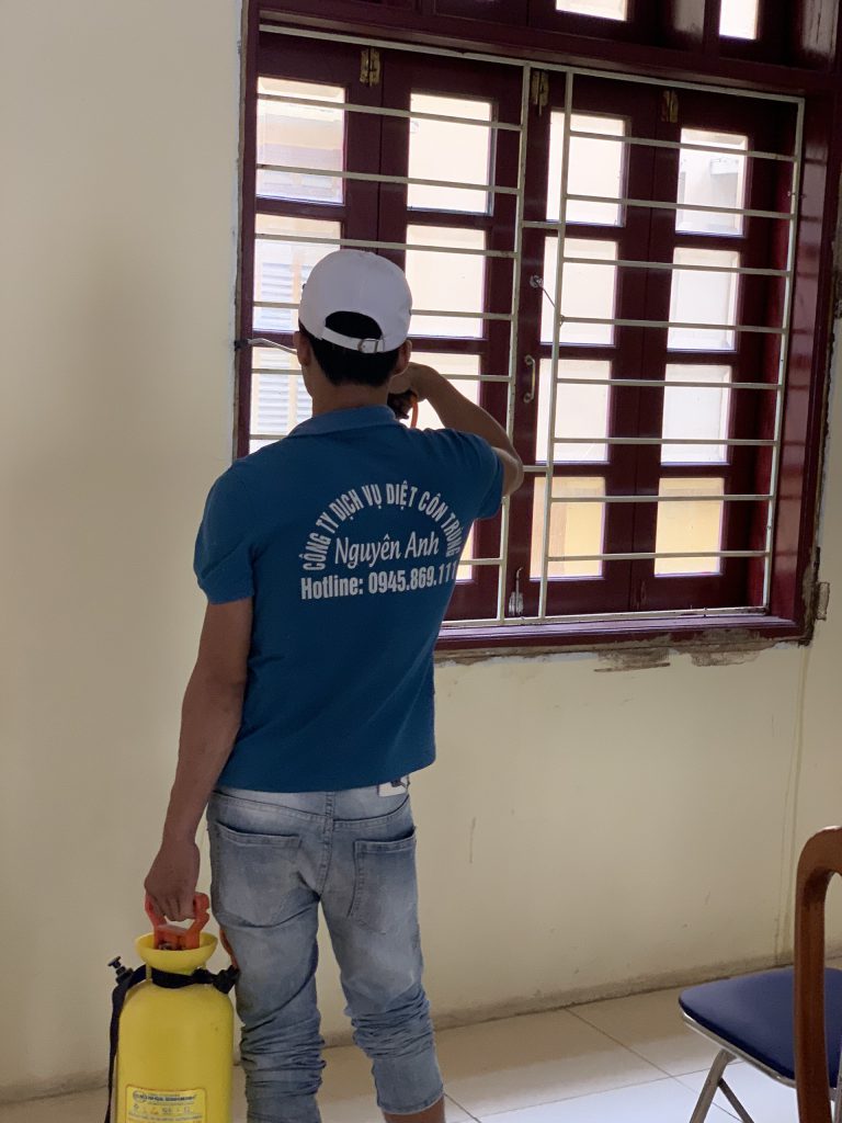 Đơn vị diệt mối thanh hóa