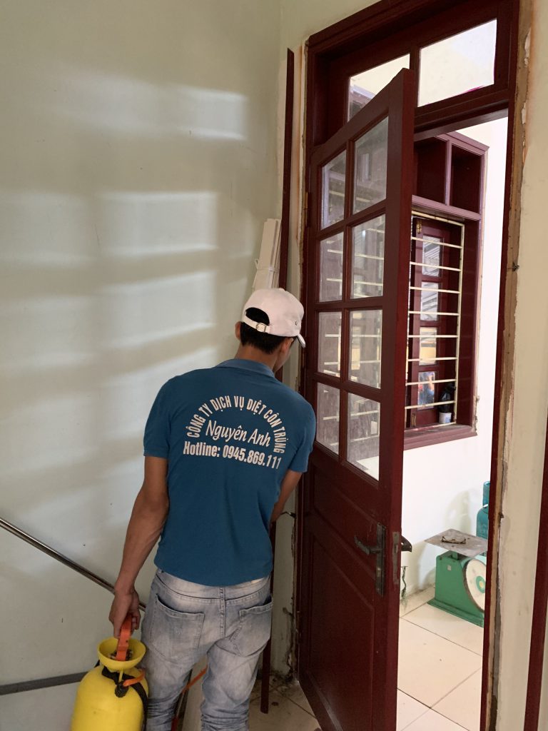 diệt mối hoằng hóa