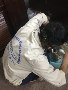 Diệt Mối