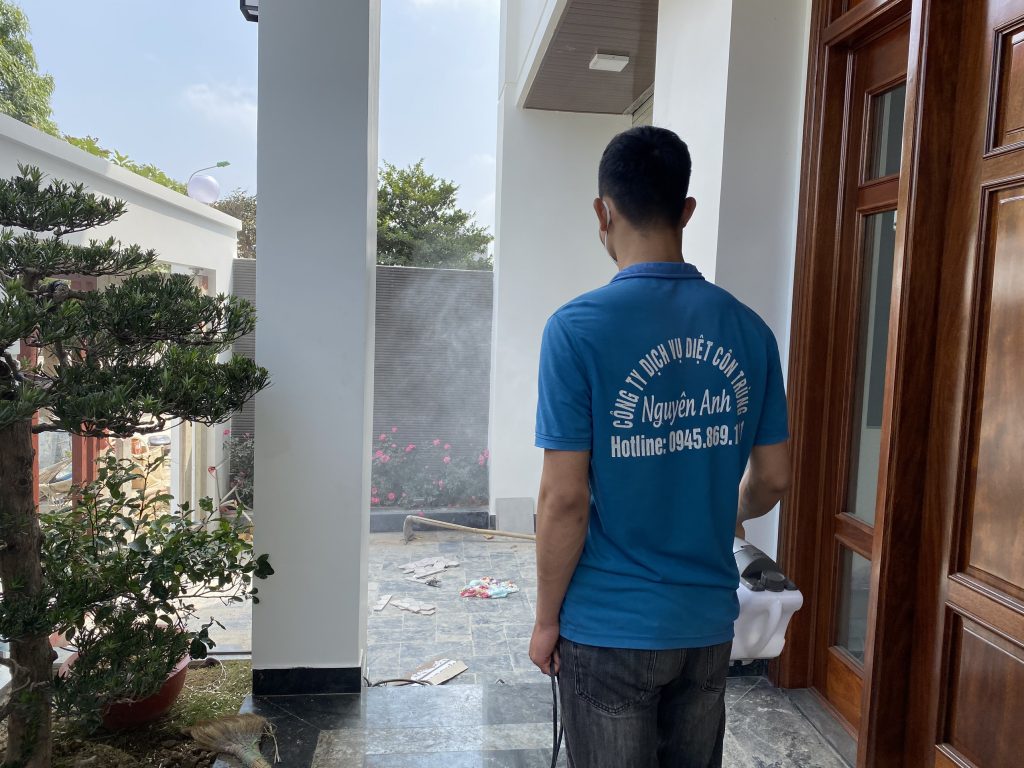 diệt kiến thanh hóa